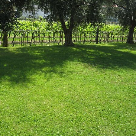 Casa Carla Aparthotel Torbole Sul Garda Exteriör bild