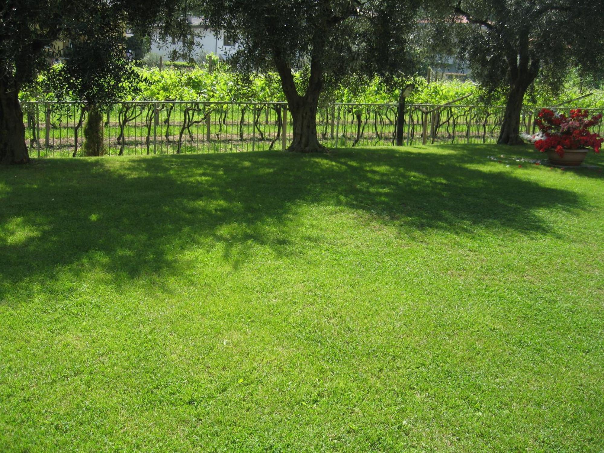 Casa Carla Aparthotel Torbole Sul Garda Exteriör bild